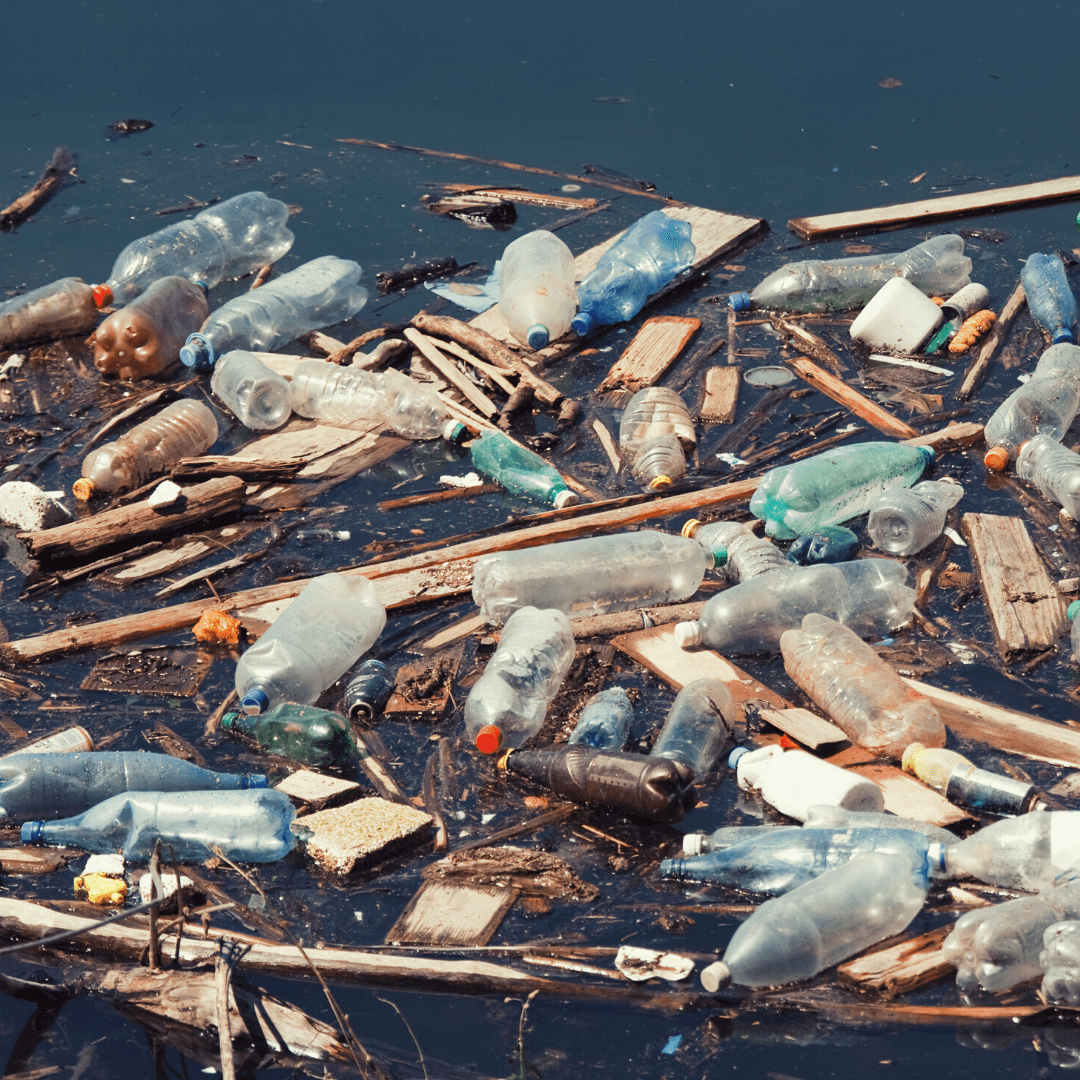 A collection of rubbish floating in water.