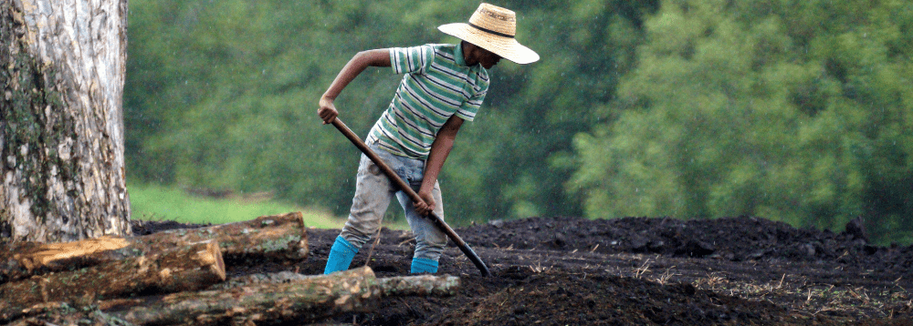 A farmer preparing his cropland.