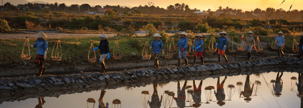 A group of farmers carrying their produce through the fields.