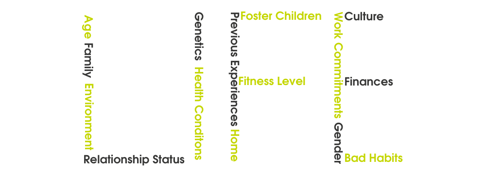 A diagram showing some of the factors impacting lifestyle, such as family, finance and environment.